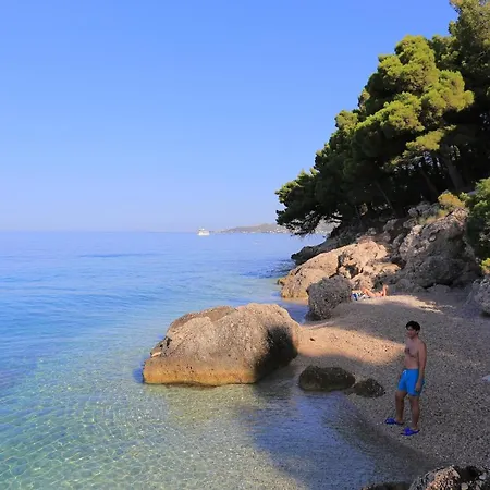 By The Sea Balica Rat, - 1065