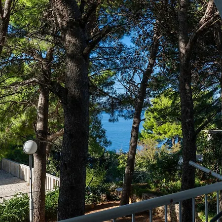 Apartment By The Sea Balica Rat, - 1065 *