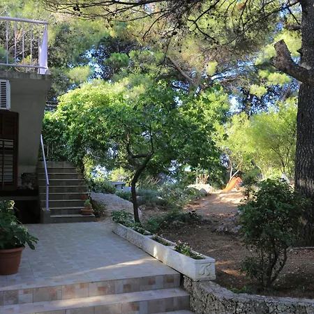 By The Sea Balica Rat, - 1065 אומיס